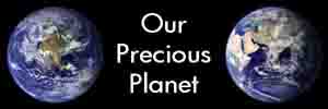 Our Precious Planet